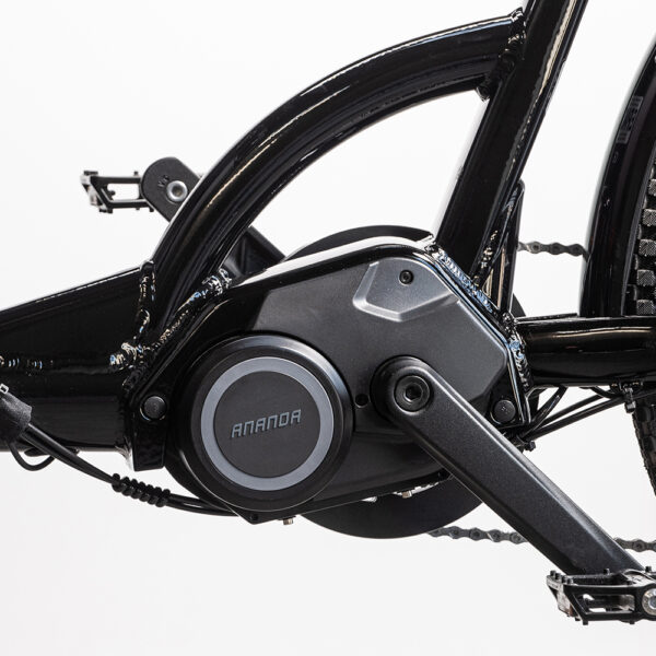 Cargobike_Delight-4 Elektriline kastiratas CARGOBIKE Delight