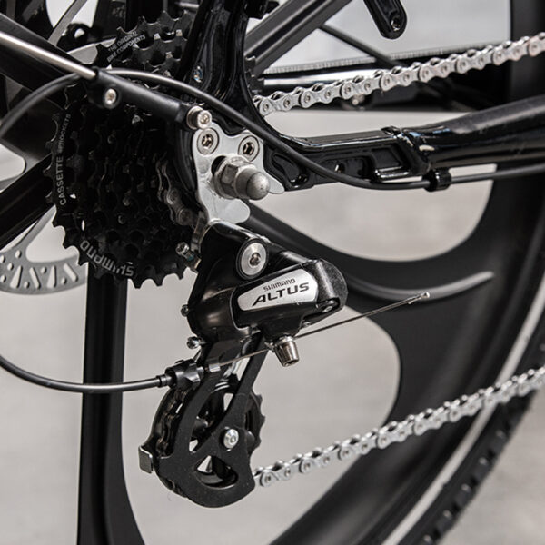 Cargobike_Delight-5 Elektriline kastiratas CARGOBIKE Delight