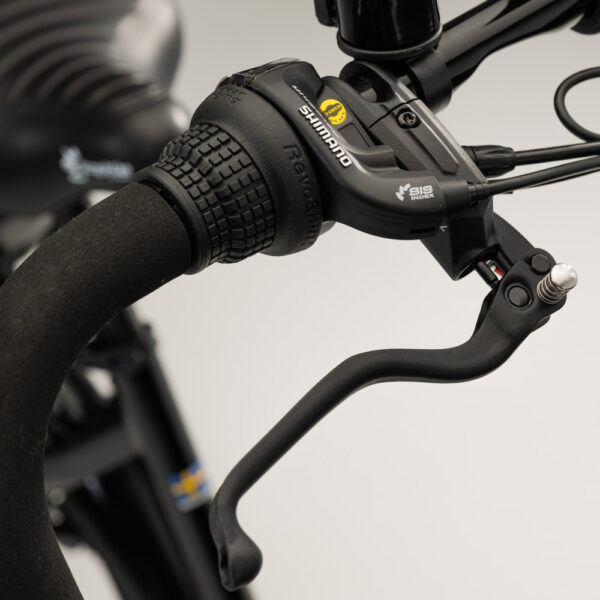 Elektriline kastiratas CARGOBIKE of SWEDEN Flex