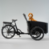 Cargobike_FlexDog Elektriline kastiratas CARGOBIKE of SWEDEN Flex Dog