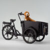 Cargobike_FlexDog-3 Elektriline kastiratas CARGOBIKE of SWEDEN Flex Dog