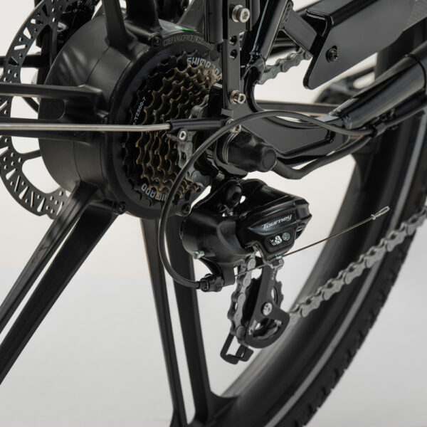 Cargobike_FlexDog-9 Elektriline kastiratas CARGOBIKE of SWEDEN Flex Dog