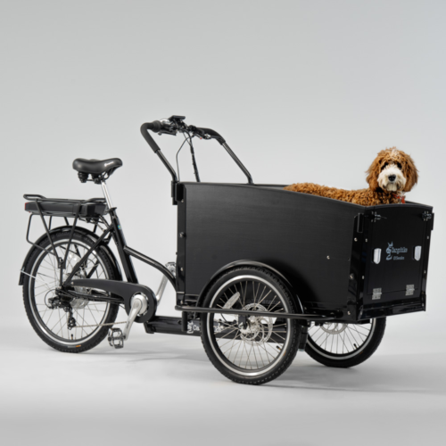 CargobikeofSweden_ClassicDog Elektriline kastiratas CARGOBIKE of SWEDEN Classic Dog