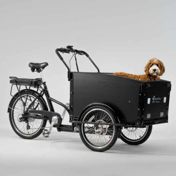 Elektriline kastiratas CARGOBIKE of SWEDEN Classic Dog