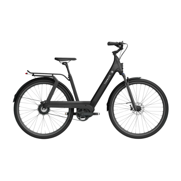 Elektrijalgratas TENWAYS AGO T, Black