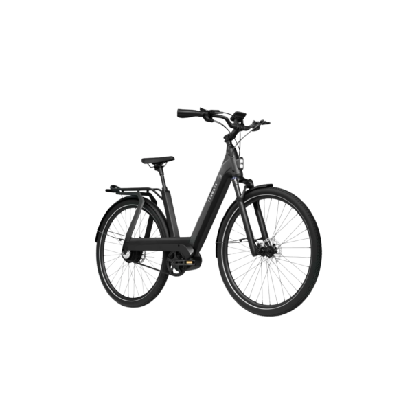 Elektrijalgratas TENWAYS AGO T, Black