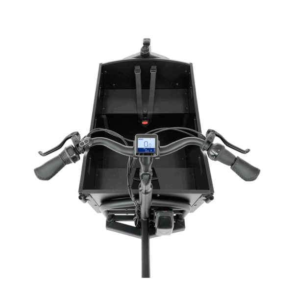 Elektriline-kastiratas-Cangoo-Buzz-mattmust-5 Elektriline kastiratas CANGOO Buzz