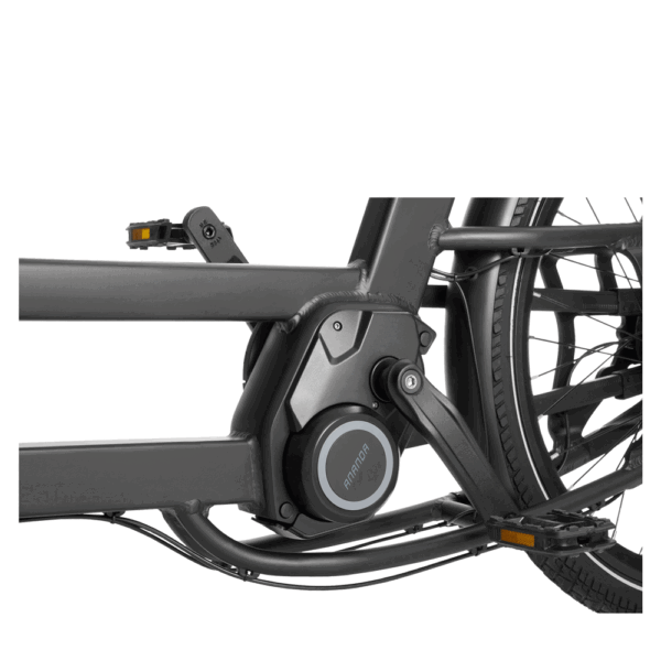 Elektriline-kastiratas-Cangoo-Buzz-mattmust-7 Elektriline kastiratas CANGOO Buzz