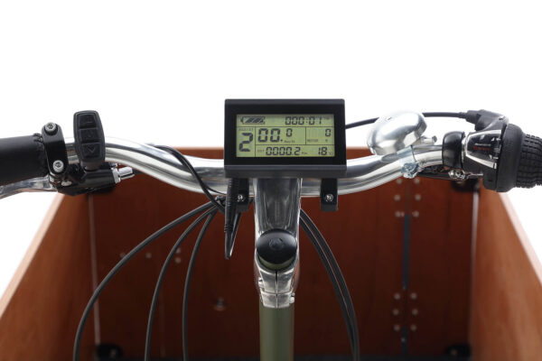 Elektriline kastiratas Cangoo Easy, roheline