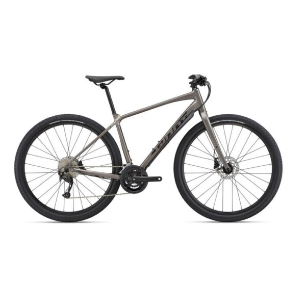 Jalgratas GIANT ToughRoad SLR 2, Metal (M)