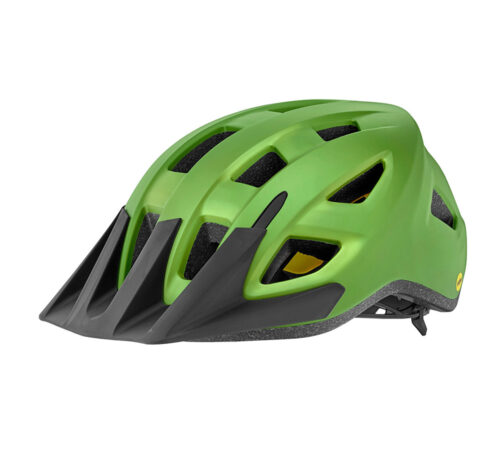 Lastekiiver GIANT Path ARX MIPS, Matte Green