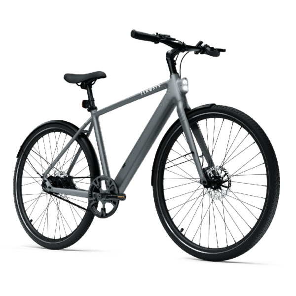 Elektrijalgratas TENWAYS CGO600 PRO, Light Grey (L)