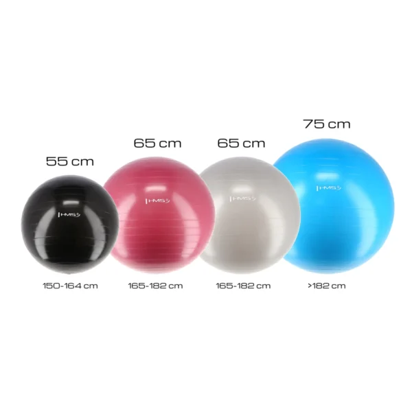 Võimlemispall HMS YB01N Gym Ball 65 cm, roosa