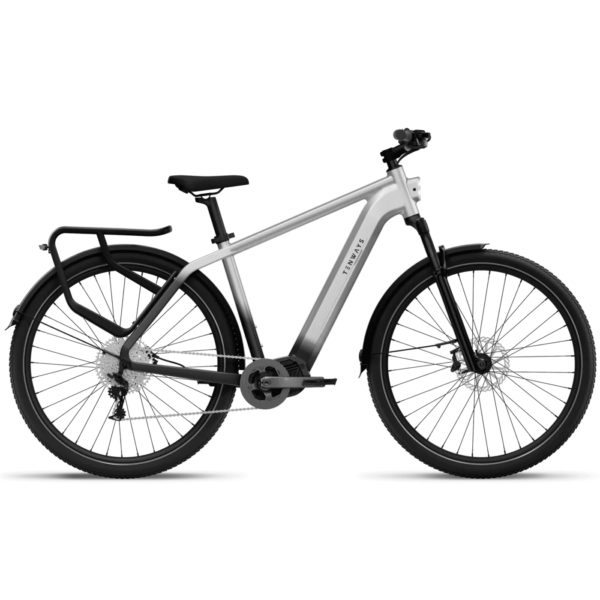 Elektrijalgratas TENWAYS AGO X, 29" Gradient Silver (L)