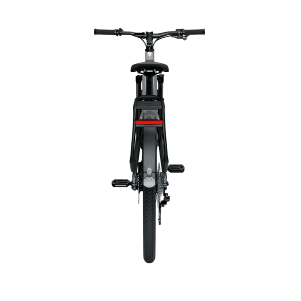 Elektrijalgratas TENWAYS AGO X, 29" Gradient Silver (L)