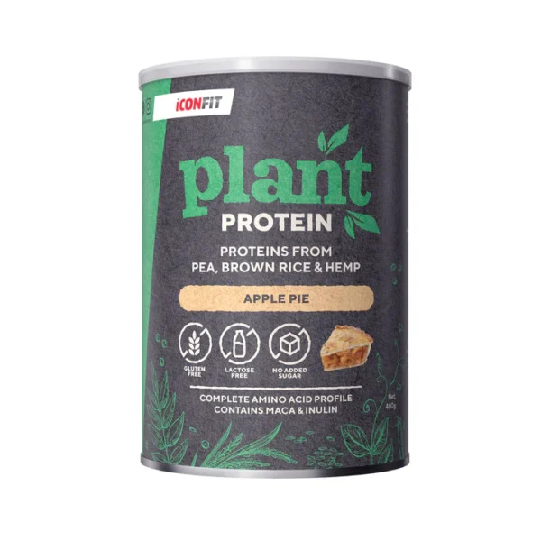 ICONFIT Plant Protein (480g) erinevad maitsed