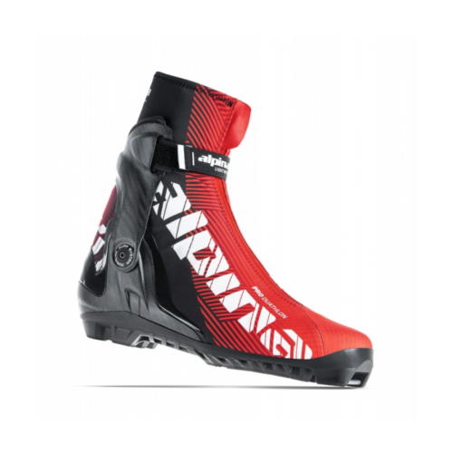 Suusasaapad ALPINA PRO DP PLUS 2021, suurus 46