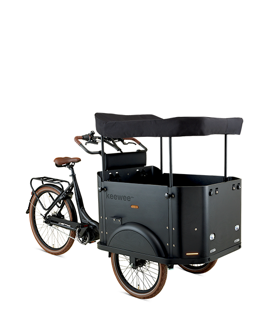 Elektriline kastiratas Keewee Bike, roheline