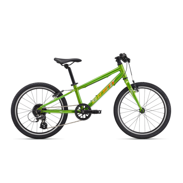 Ülikerge laste jalgratas GIANT ARX 20, Metallic Green