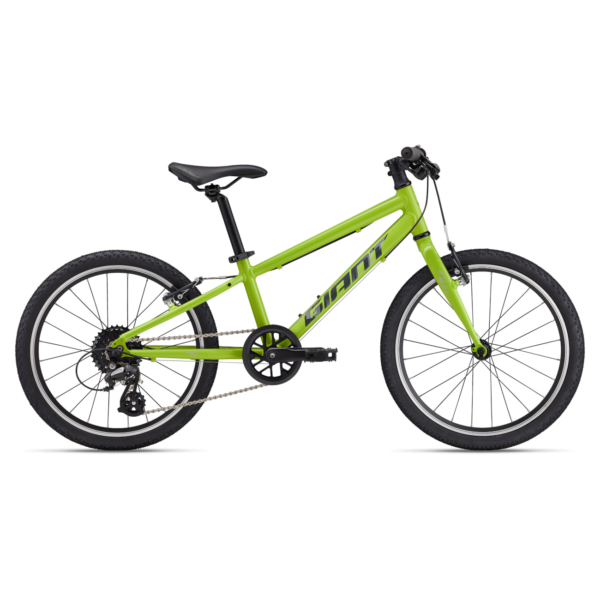 Ülikerge laste jalgratas GIANT ARX 20, Lime Punch