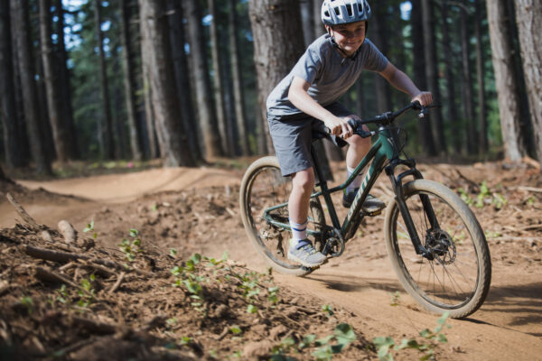 Laste jalgratas GIANT Talon 24, Trekking Green