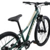 Laste jalgratas GIANT Talon 24, Trekking Green