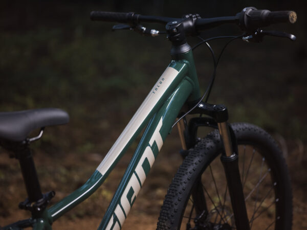 Laste jalgratas GIANT Talon 24, Trekking Green