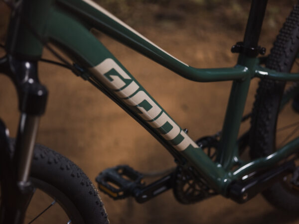 Laste jalgratas GIANT Talon 24, Trekking Green