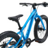 Laste jalgratas LIV STP 20, AI Blue
