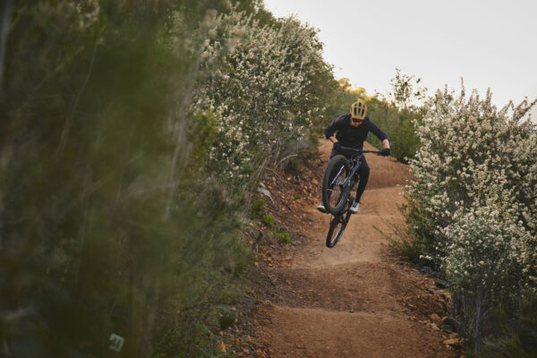 Maastikuratas GIANT Reign 2, 29" Black/Pyrite Brown (XL)