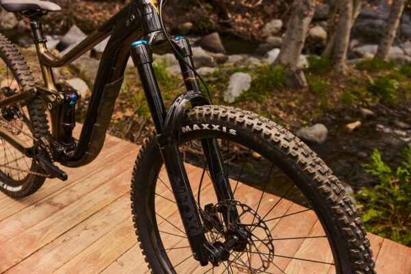 Maastikuratas GIANT Reign 2, 29" Black/Pyrite Brown (XL)