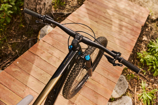 Maastikuratas GIANT Reign 2, 29" Black/Pyrite Brown (XL)