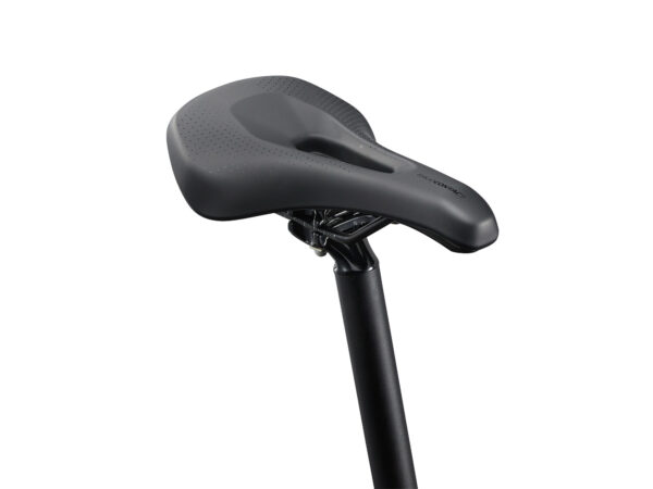 Naiste jalgratas LIV Tempt 2, 29" Mars Dust (S)