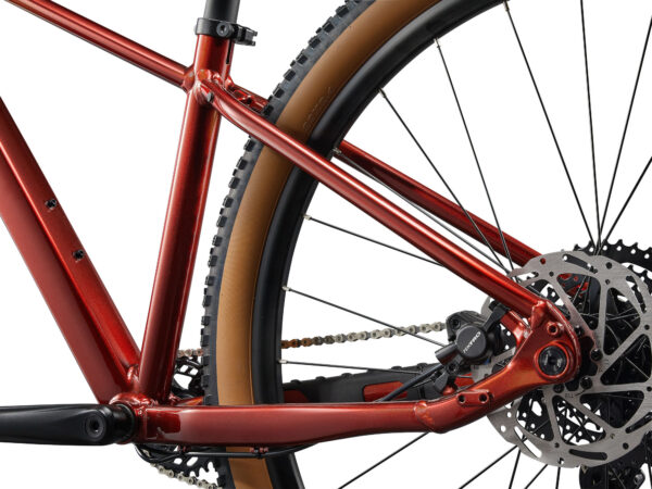 Naiste jalgratas LIV Tempt 2, 29" Mars Dust (S)