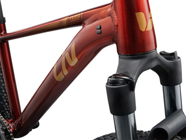 Naiste jalgratas LIV Tempt 2, 29" Mars Dust (S)