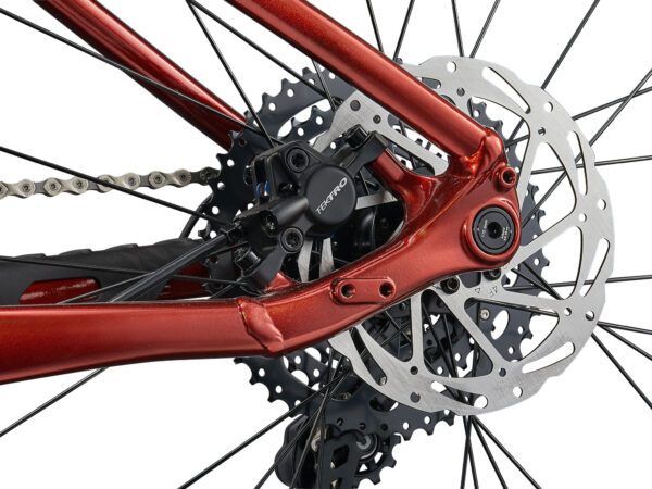 Naiste jalgratas LIV Tempt 2, 29" Mars Dust (S)